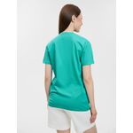 p111-11500237XL