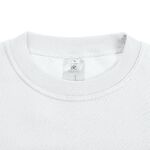 p111-WUI200012X