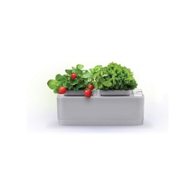 xml-product_chr_name