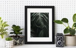 Фоторамка — лучший корпоративный подарок